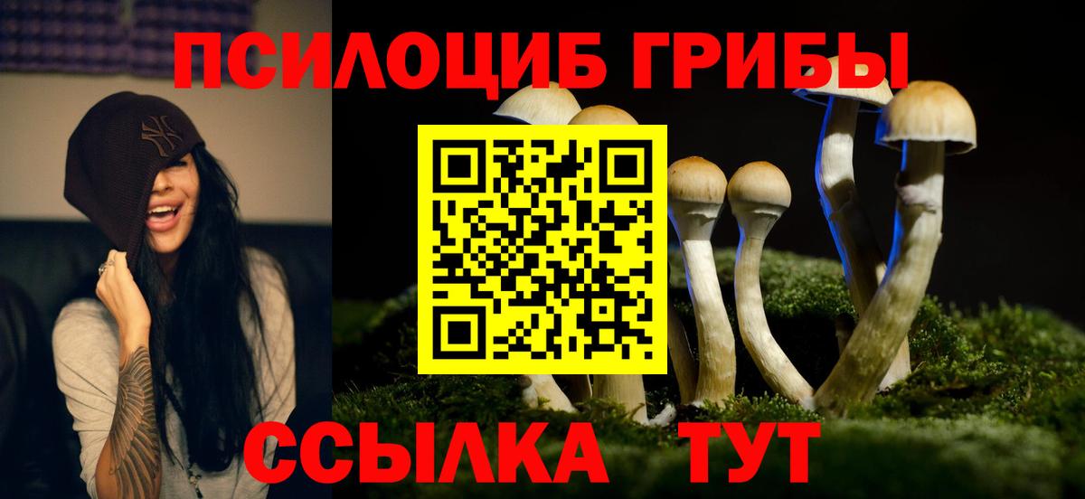 Псилоцибиновые грибы GOLDEN TEACHER Мыски