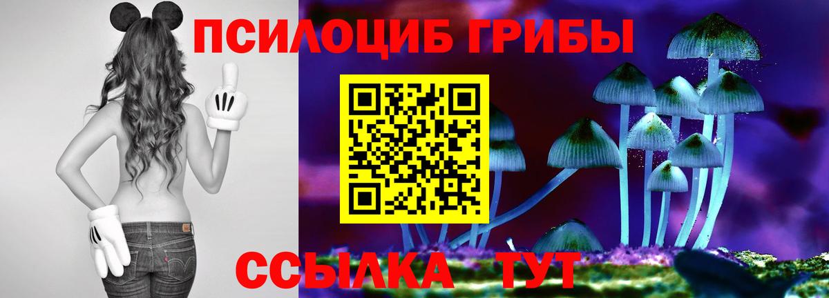 Галлюциногенные грибы прущие грибы  где можно купить   Мыски  Вход с VPN 